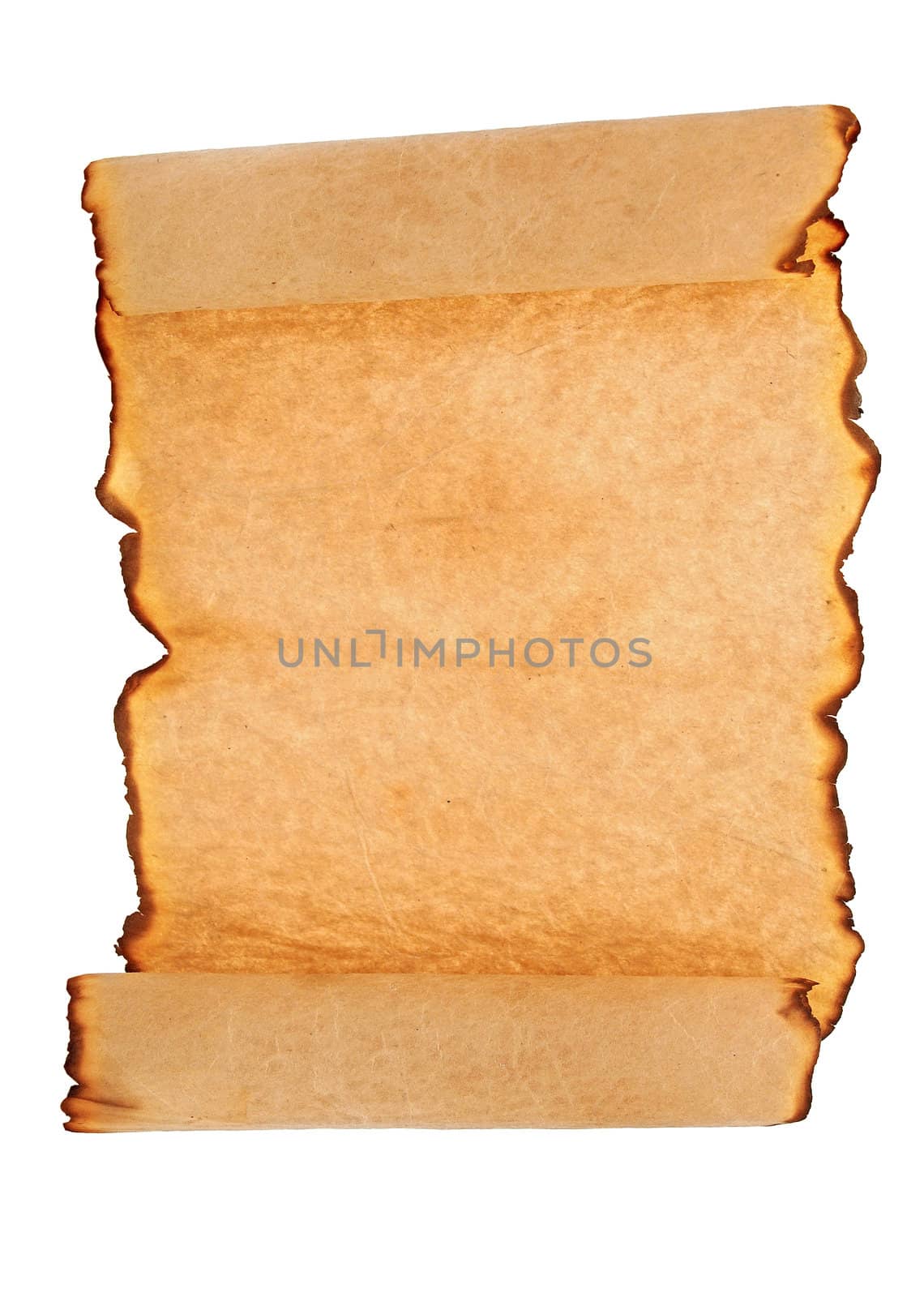 Antique paper scroll on white background 