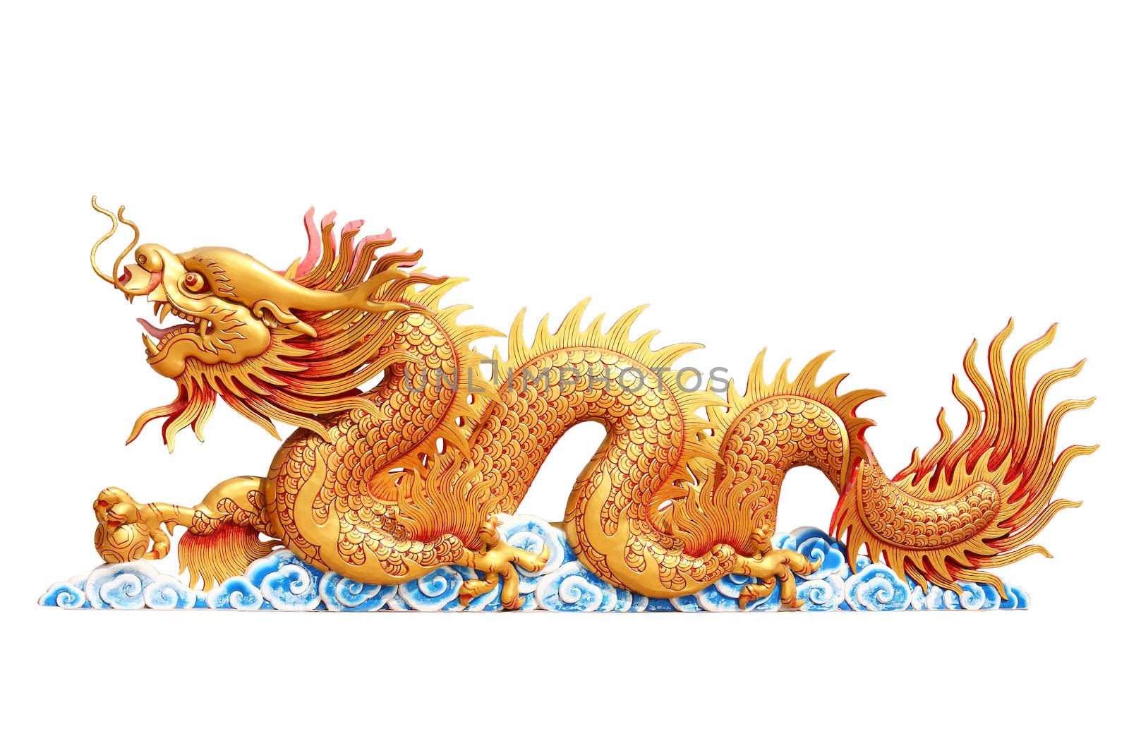 Gold Dragon with white background