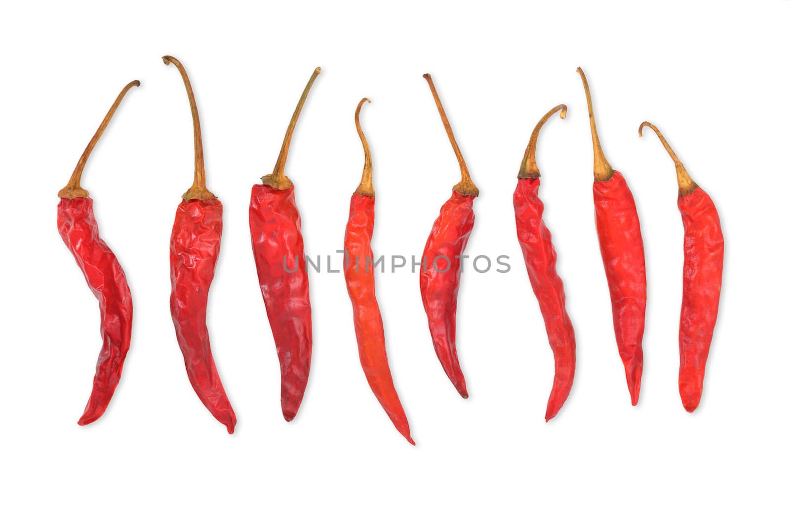 Dried Chili Peppers With Clipping Path