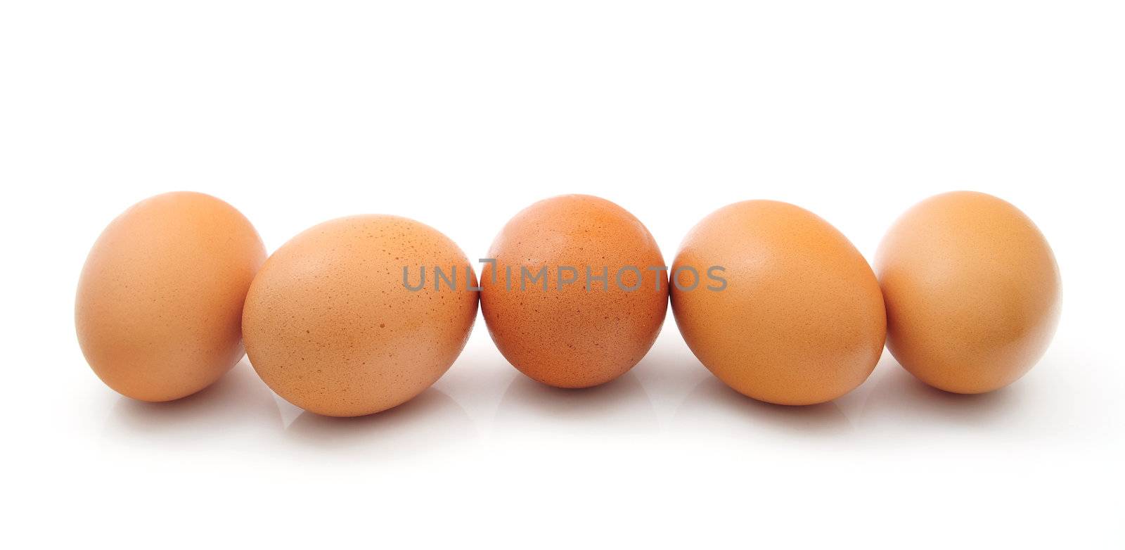Eggs by antpkr