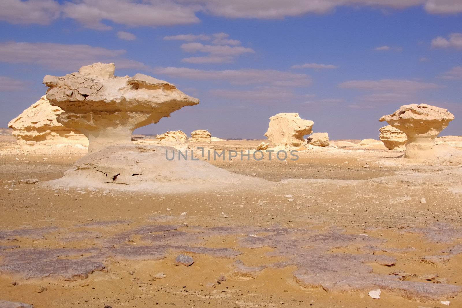 Wind and sand modeled limestones sculptures in white desert 