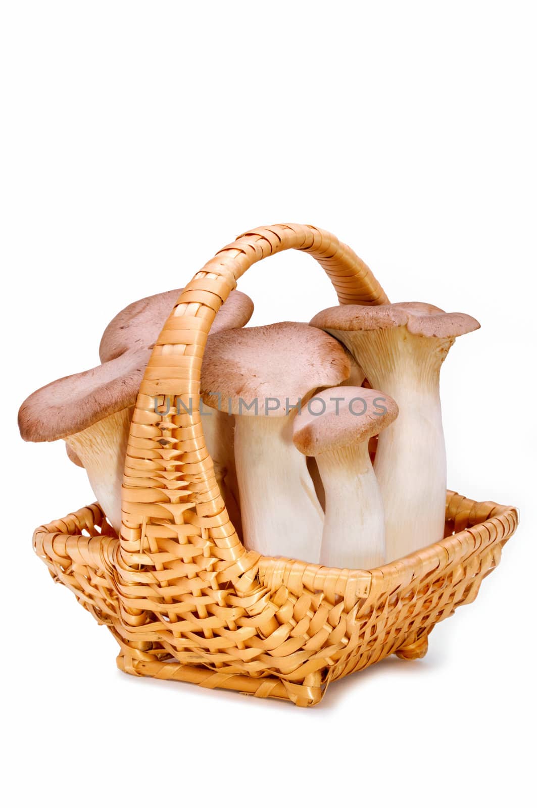 King trumpet. Fresh mushrooms in a basket on a white background.
