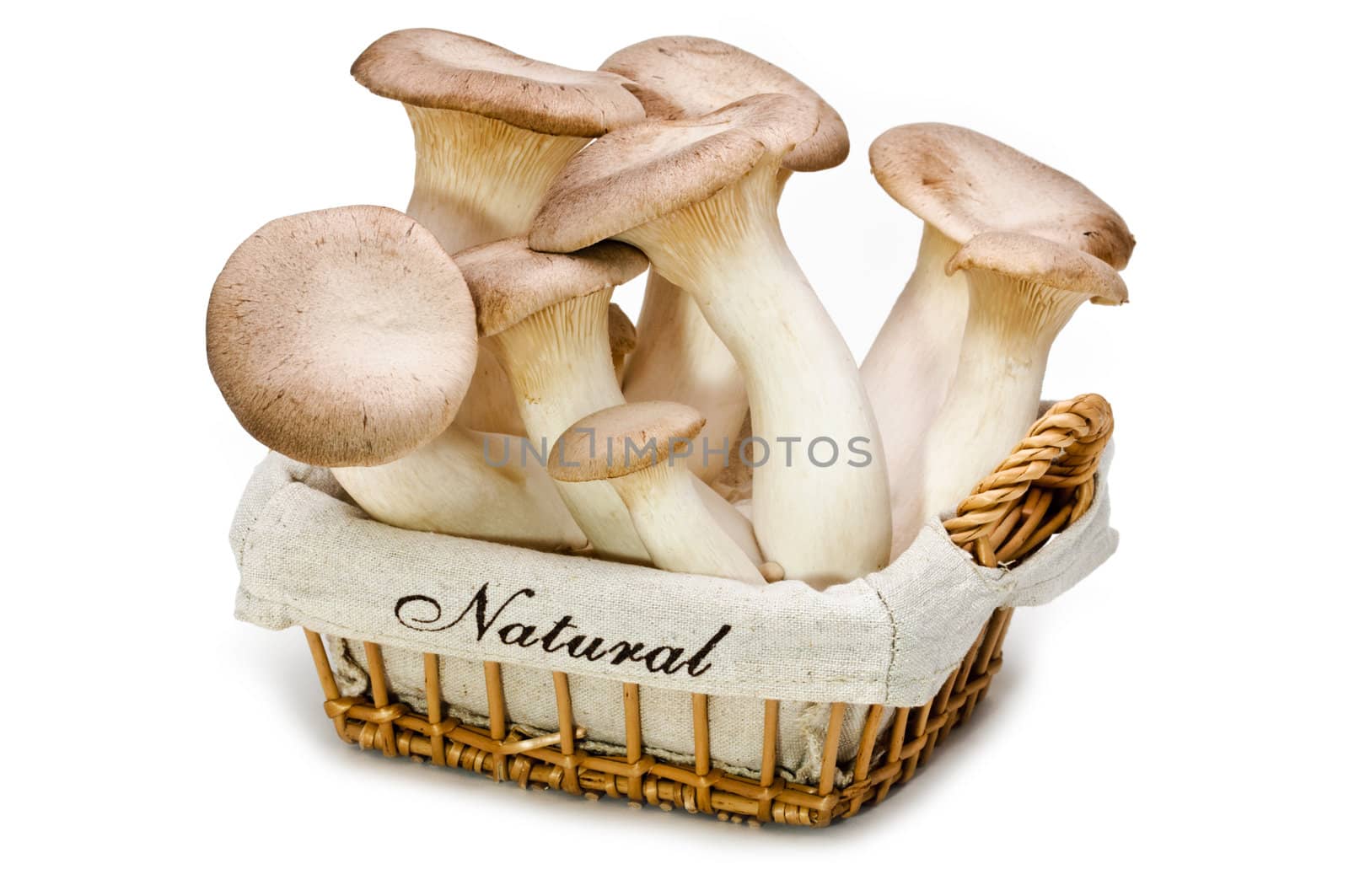 King trumpet. Fresh mushrooms in a basket on a white background.