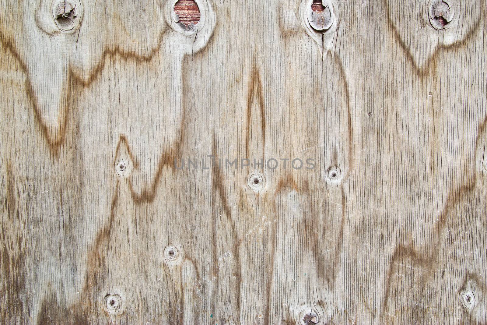 texture of wood pattern background by wasan_gredpree