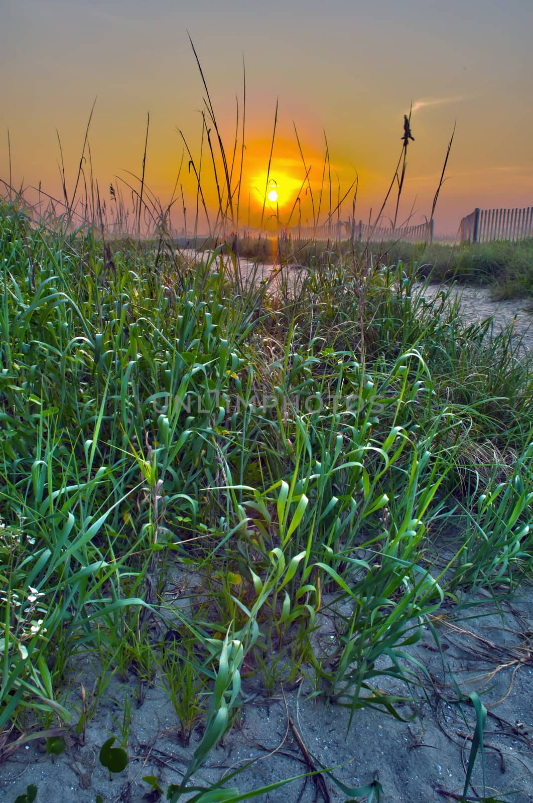 sunrise at myrtle beach by digidreamgrafix