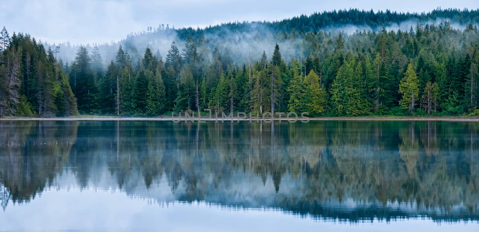 Perfect reflection of misty forest in still calming lake