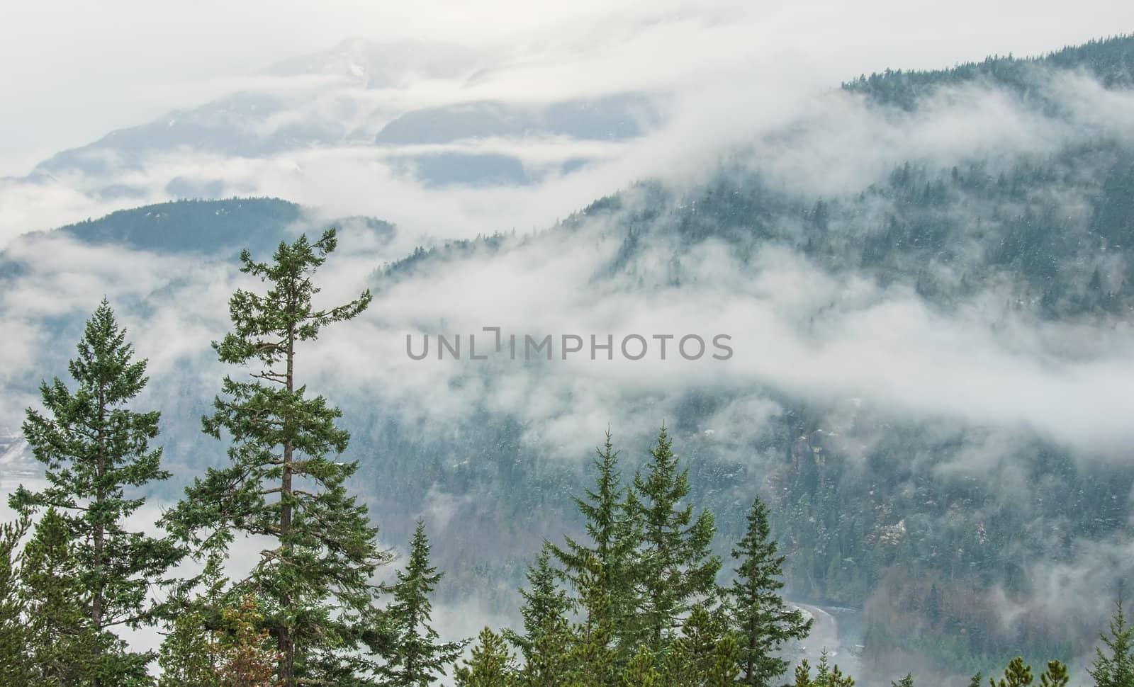 Trees in Front of Cloudy Mountain Landscape by JamesWheeler