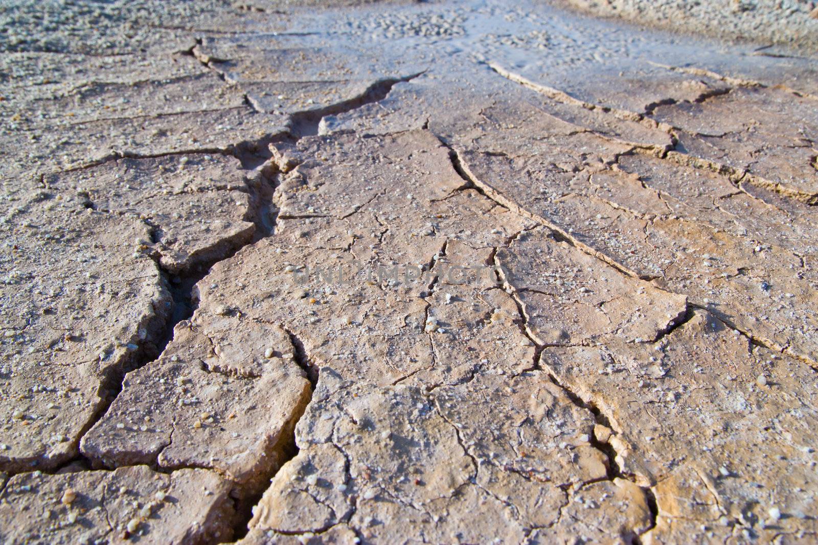 dry earth texture at thailand