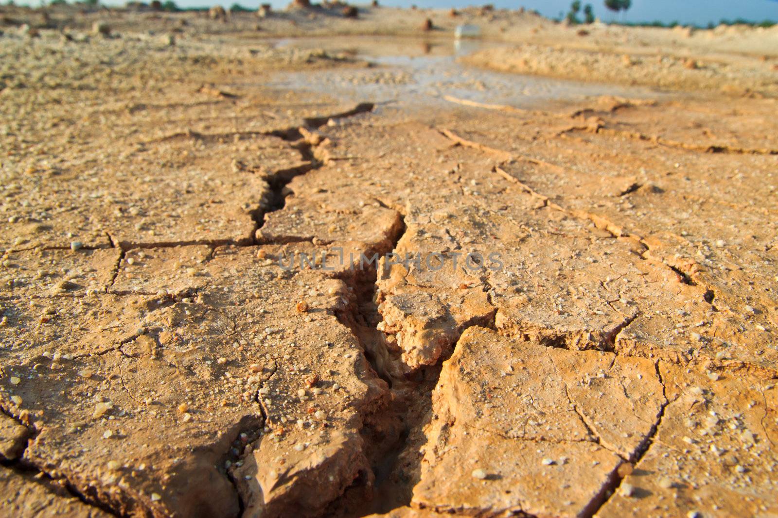 dry earth texture at thailand