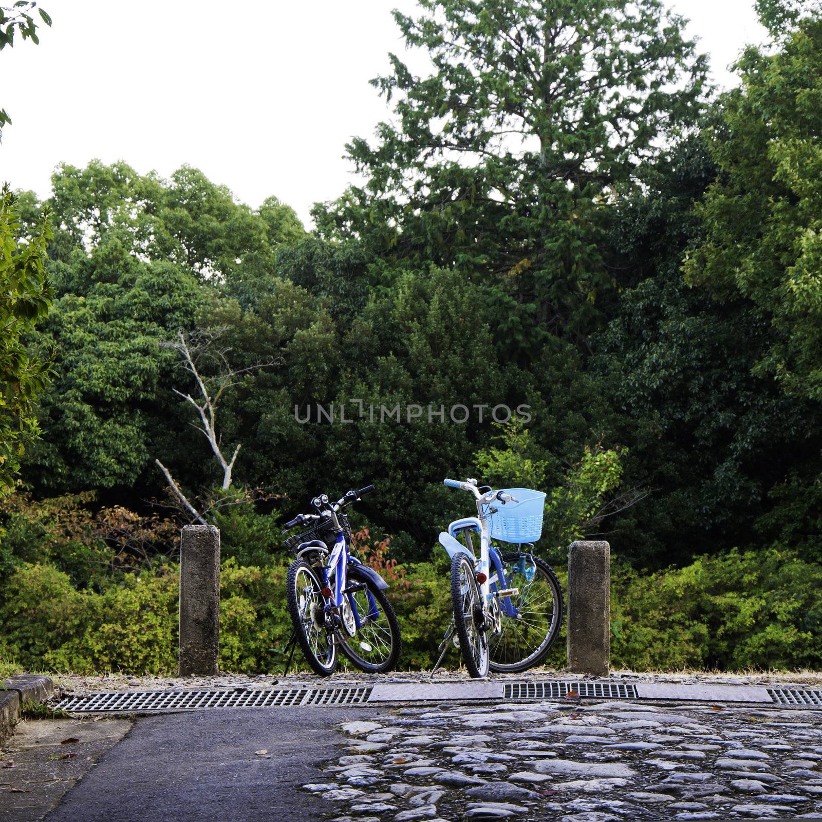 Bicycles of couple by siraanamwong