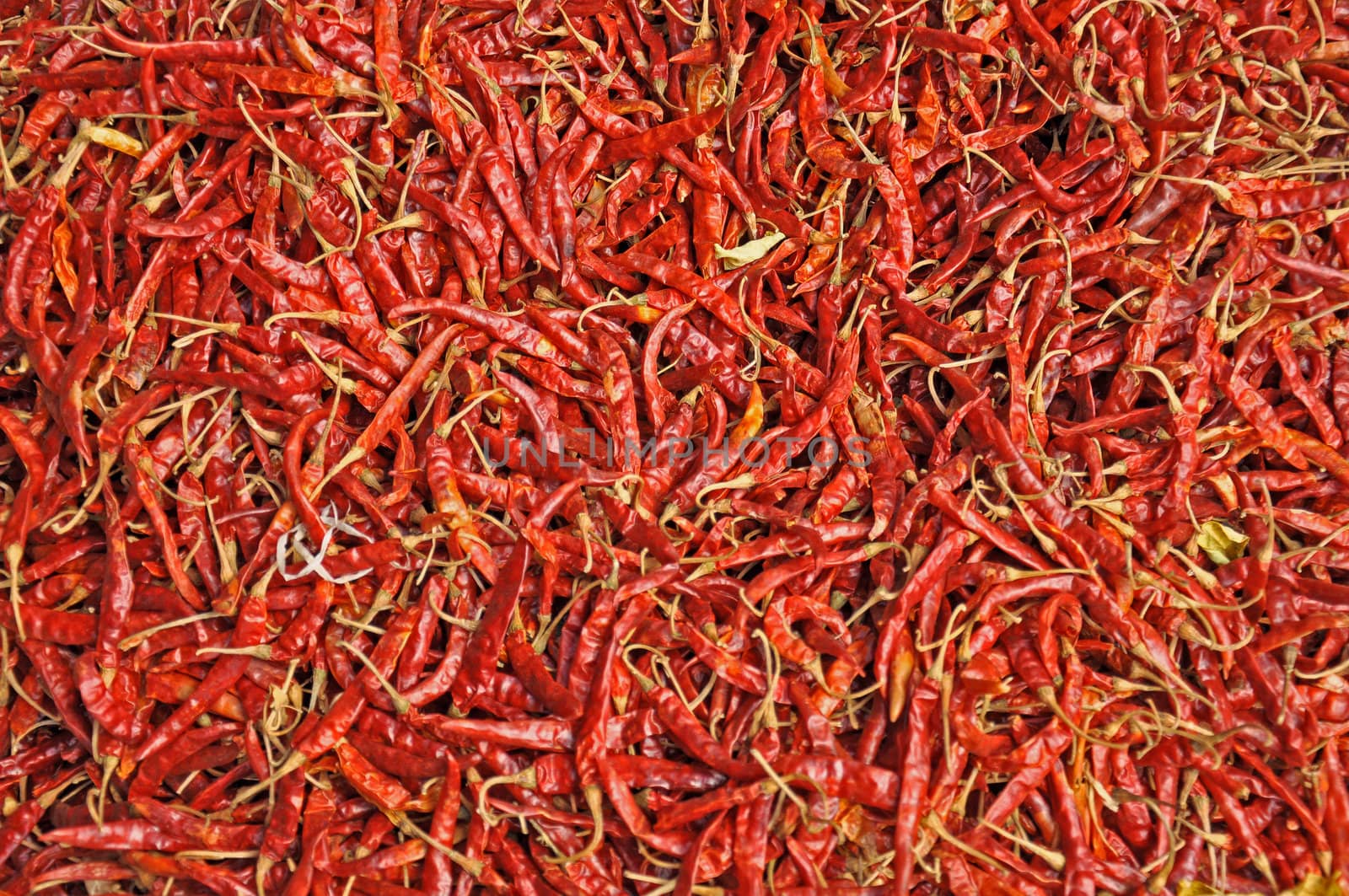 Dry red chilli peppers background.