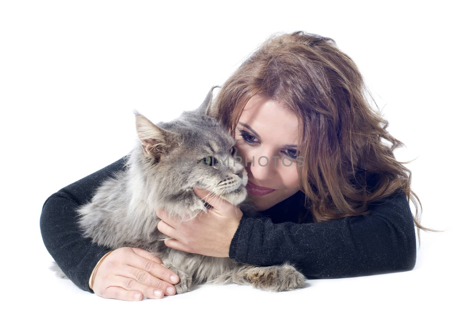 maine coon cat and woman by cynoclub