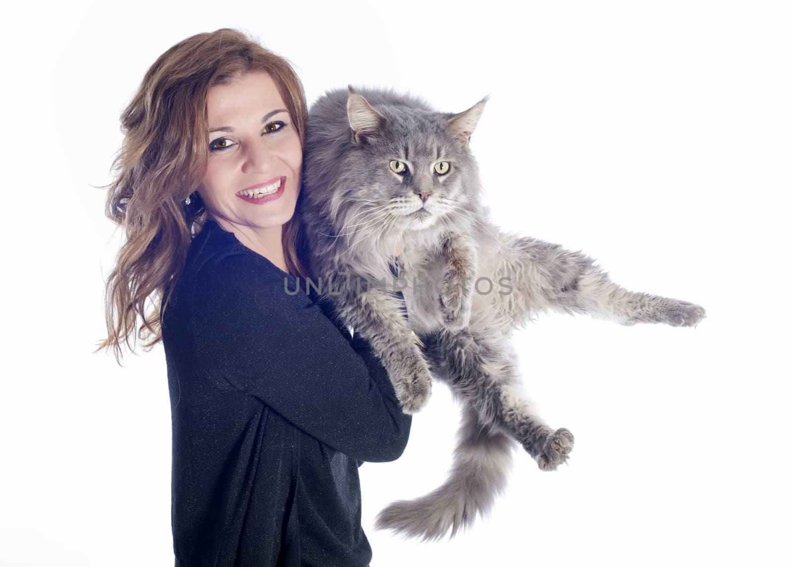 maine coon cat and woman by cynoclub