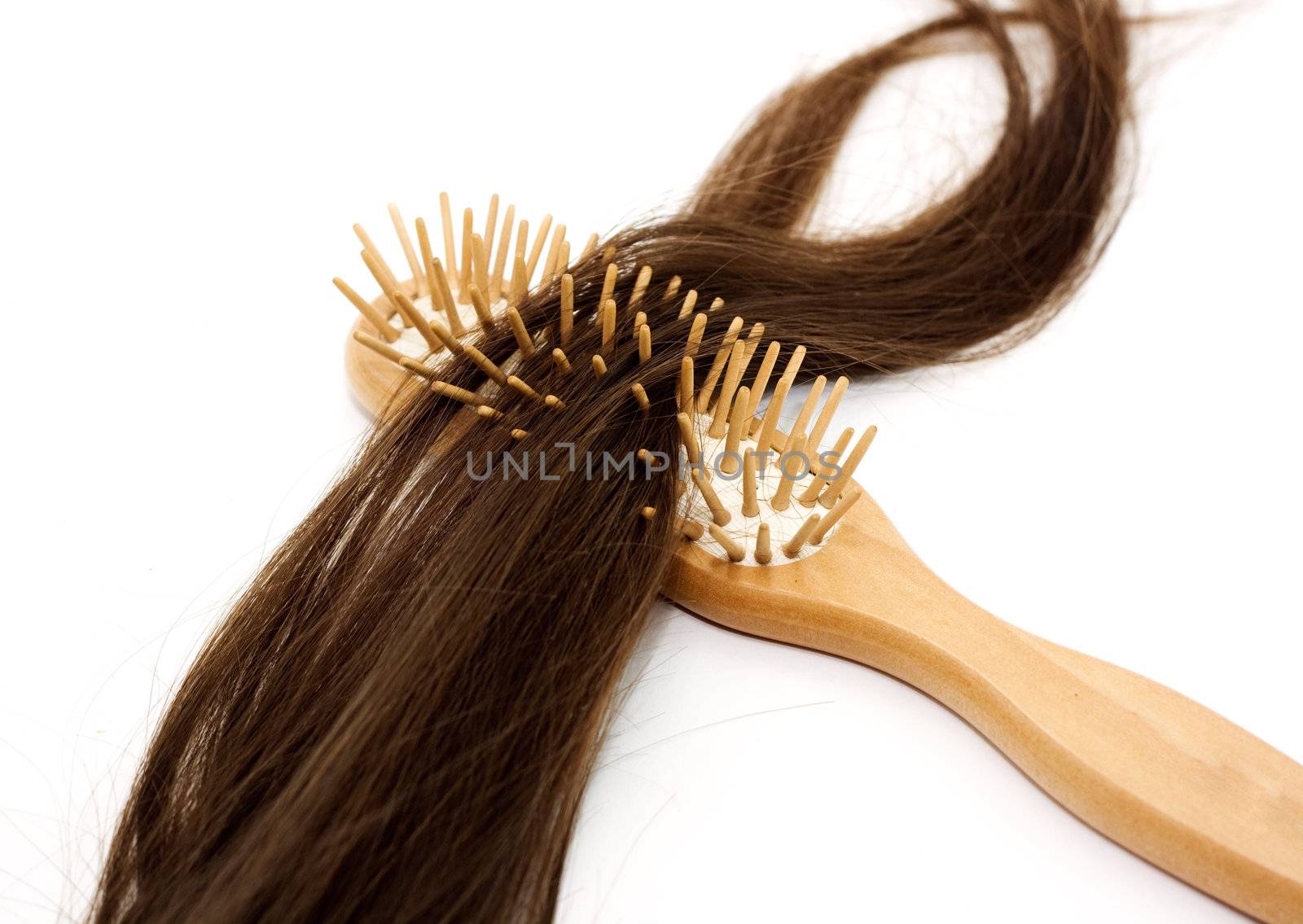 Close-up of a hairbrush with lost hair in it isolated on white.