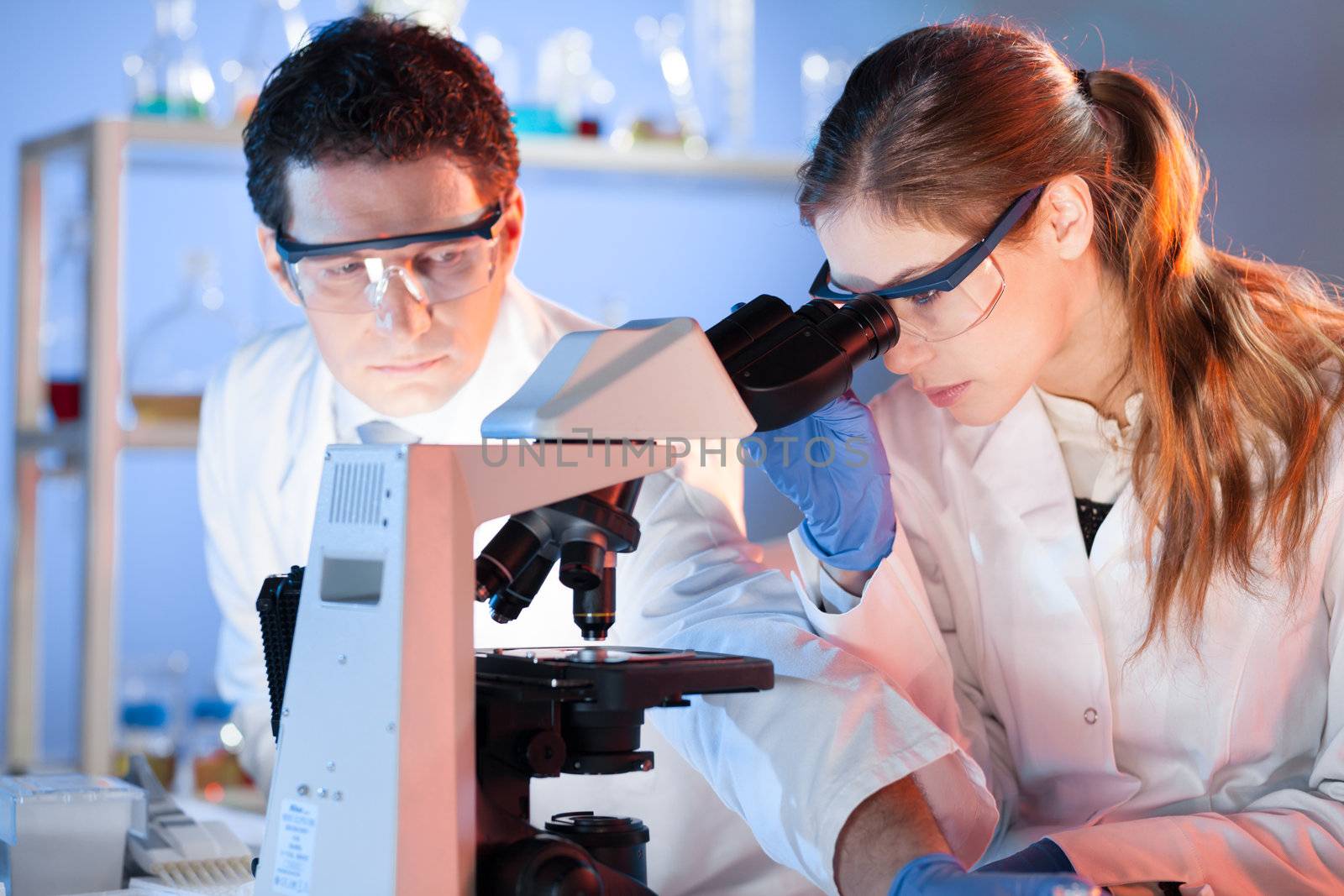 Attractive young scientist and her post doctoral supervisor working on a project in the forensic laboratory.