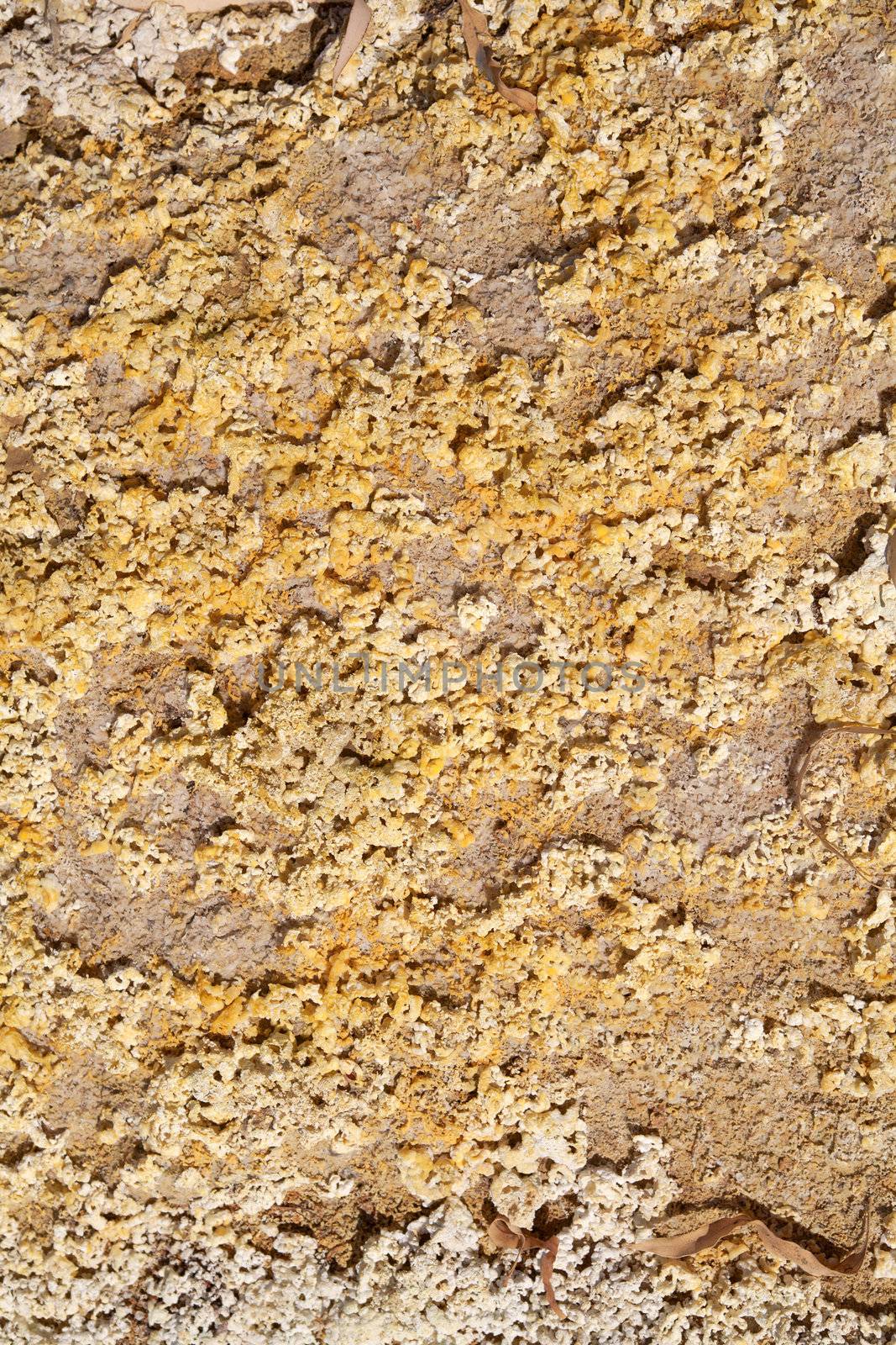 yellow acidic background by catolla