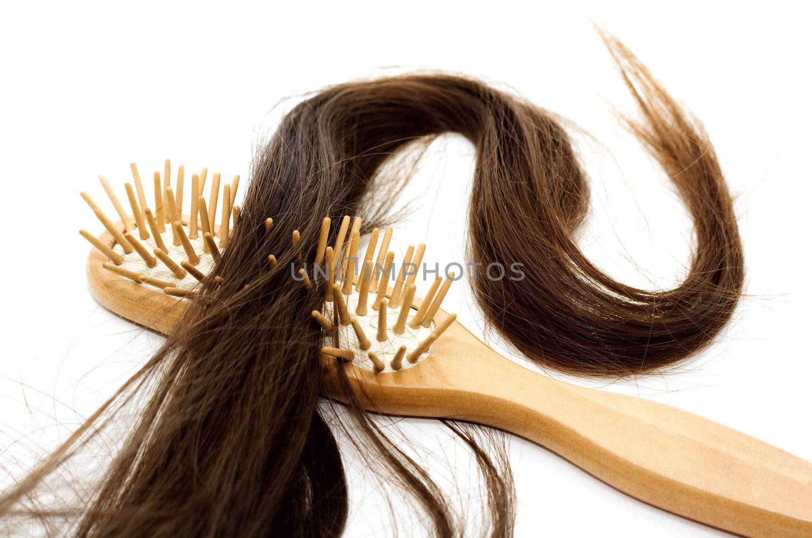 Close-up of a hairbrush with lost hair in it isolated on white.