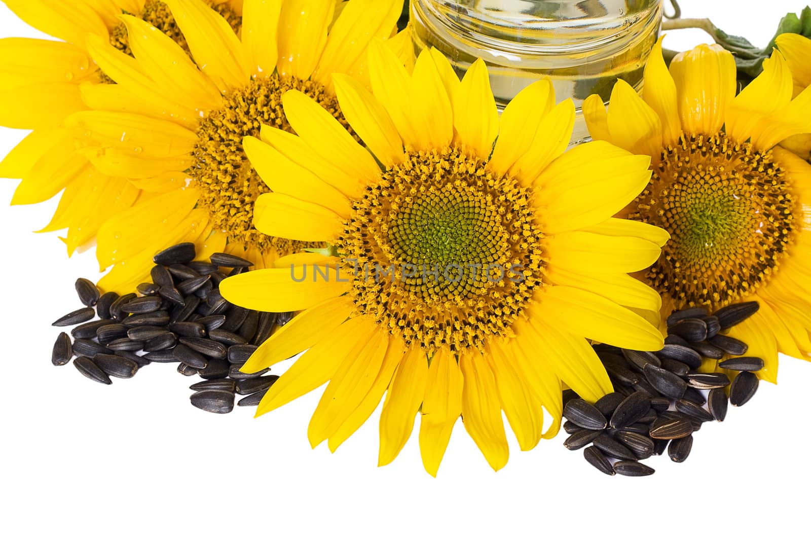 Yellow sunflowers and a handful of sunflower seeds isolated