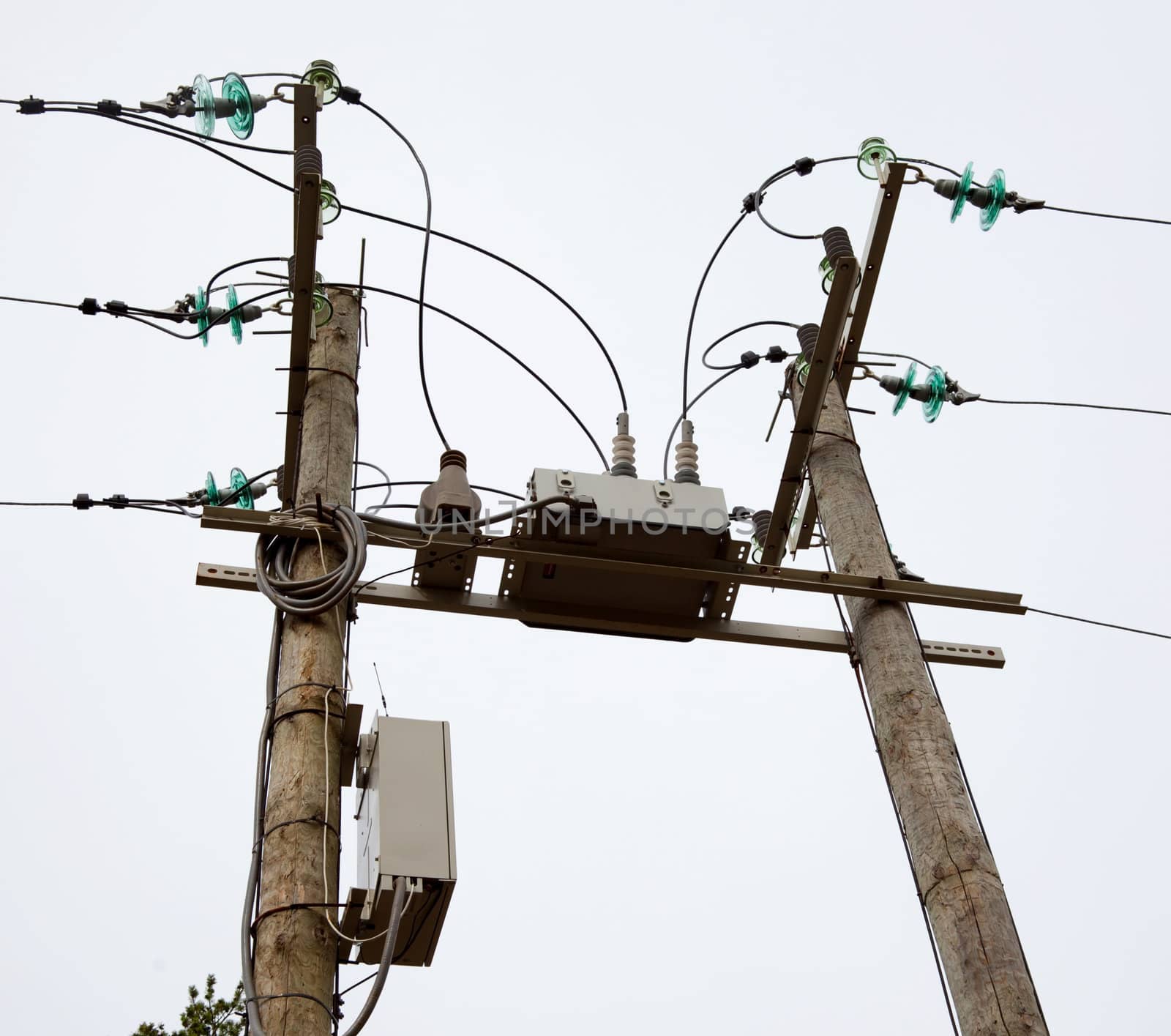 Reclosers on wooden poles in the sky