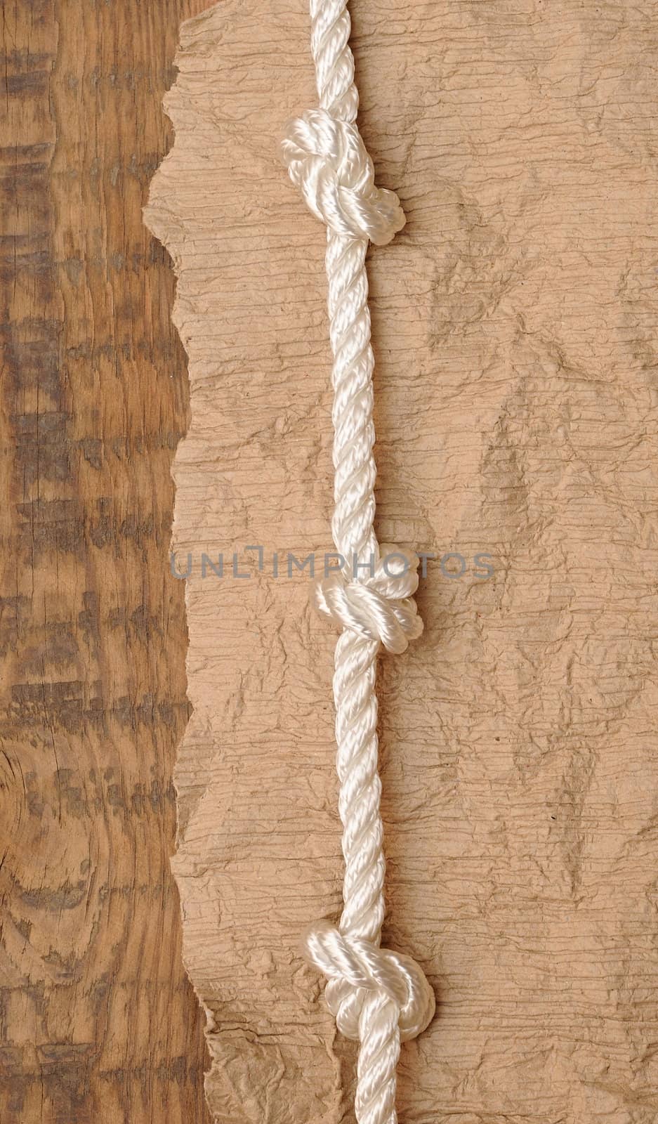 old paper with rope border 