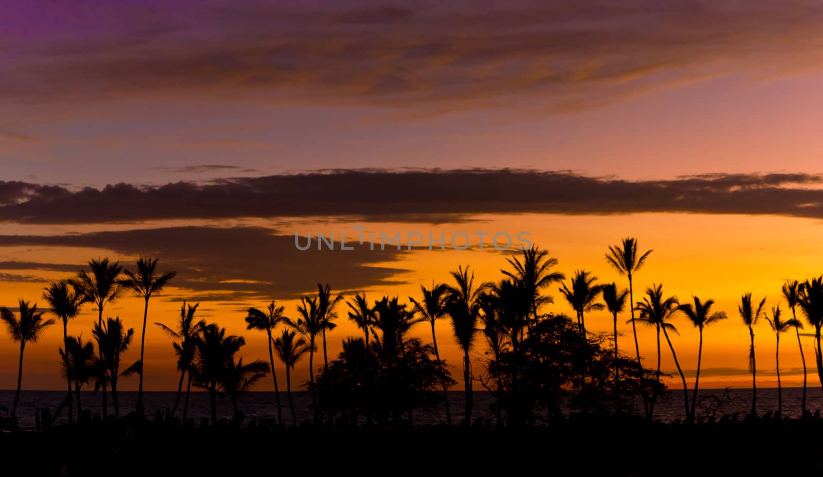 Hawaiian sunset with palms siluette by huntz