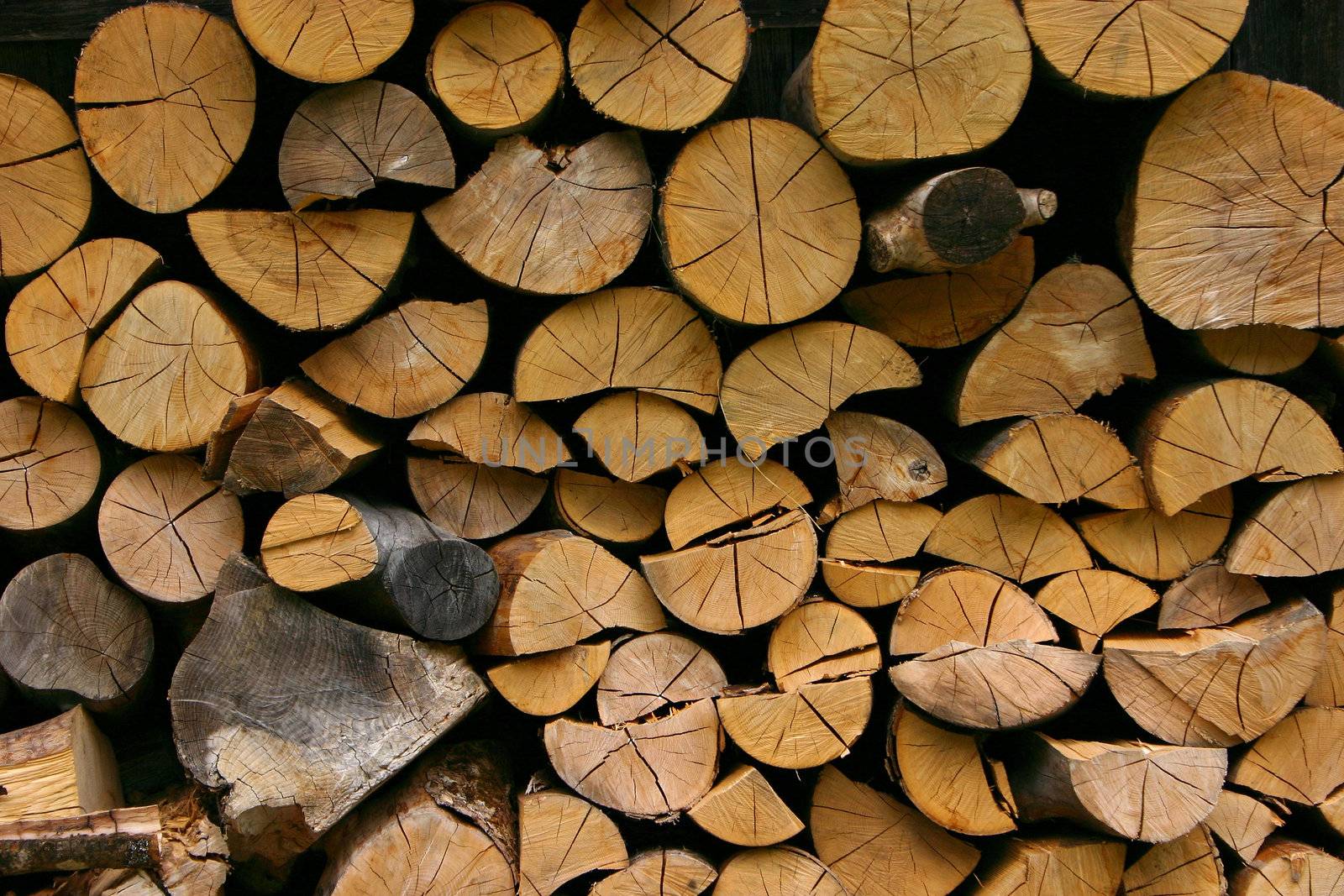 Pile of wood in the forest