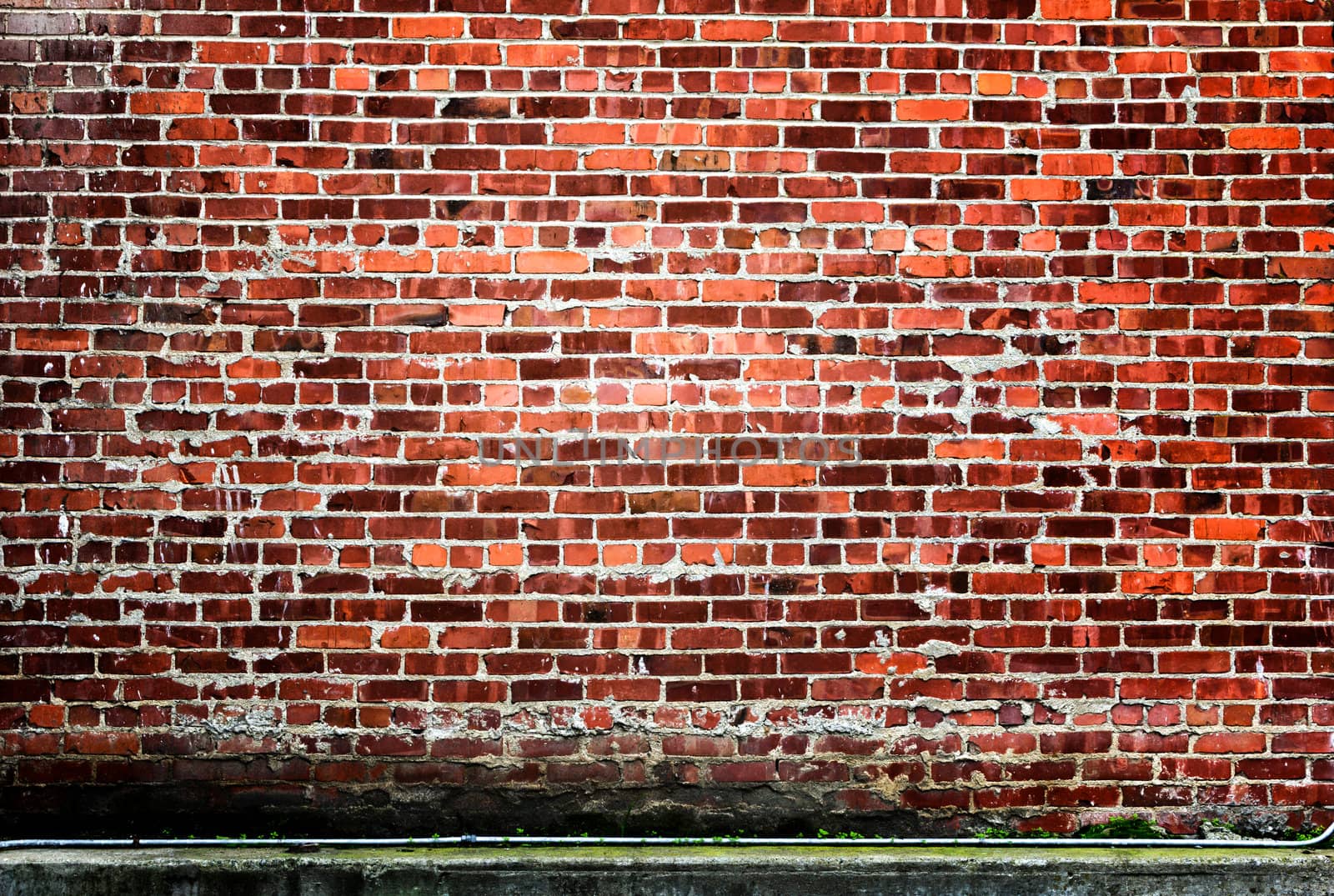 High Contrast Red Brick Backdrop or Background by wolterk