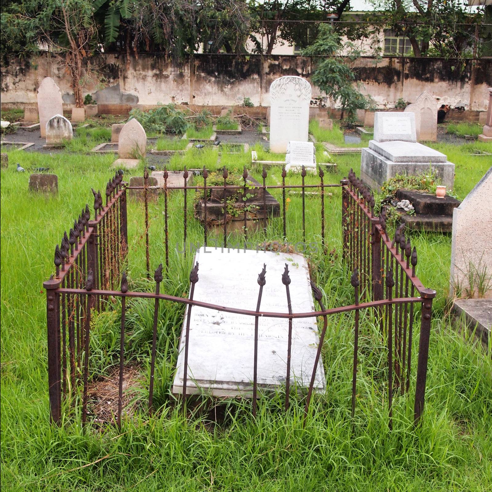 A Misty Graveyard, Cemetery with Tombstones     