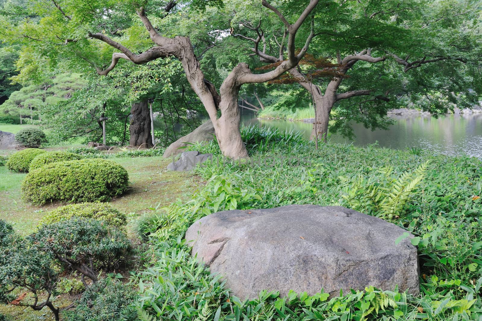 Korakuen park by yuriz