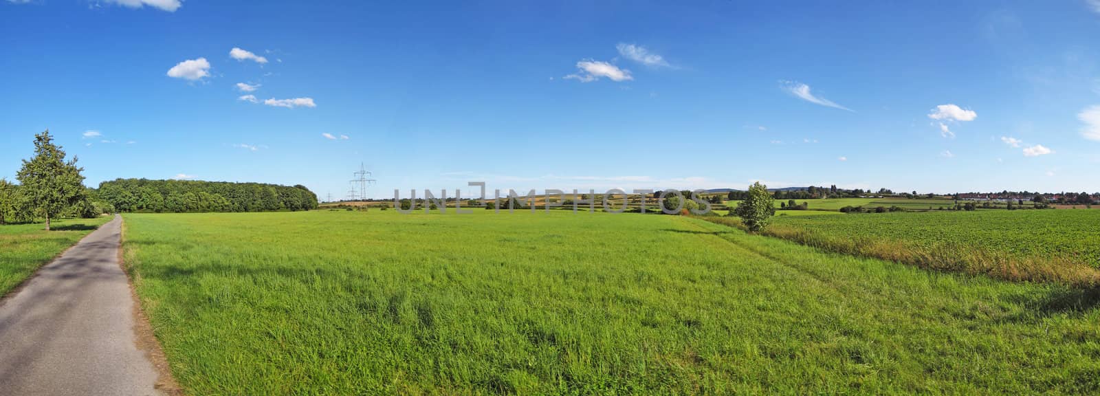 farmland panorama with pathway, green meadows, and blue sky