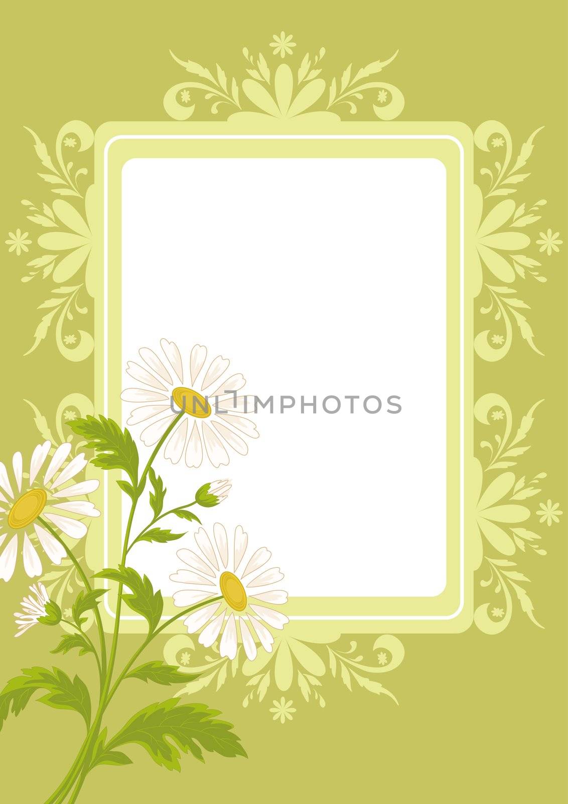 Floral holiday background with chamomile flowers and a blank white rectangle.