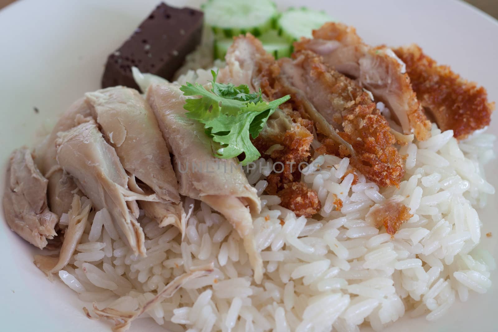 Rice with steamed chicken and fried chicken.