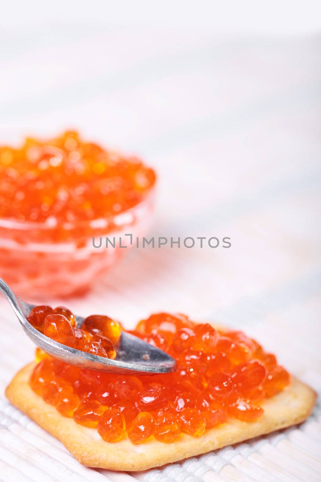 Close up of red tasty caviar in a glass jar with cracker and spoon