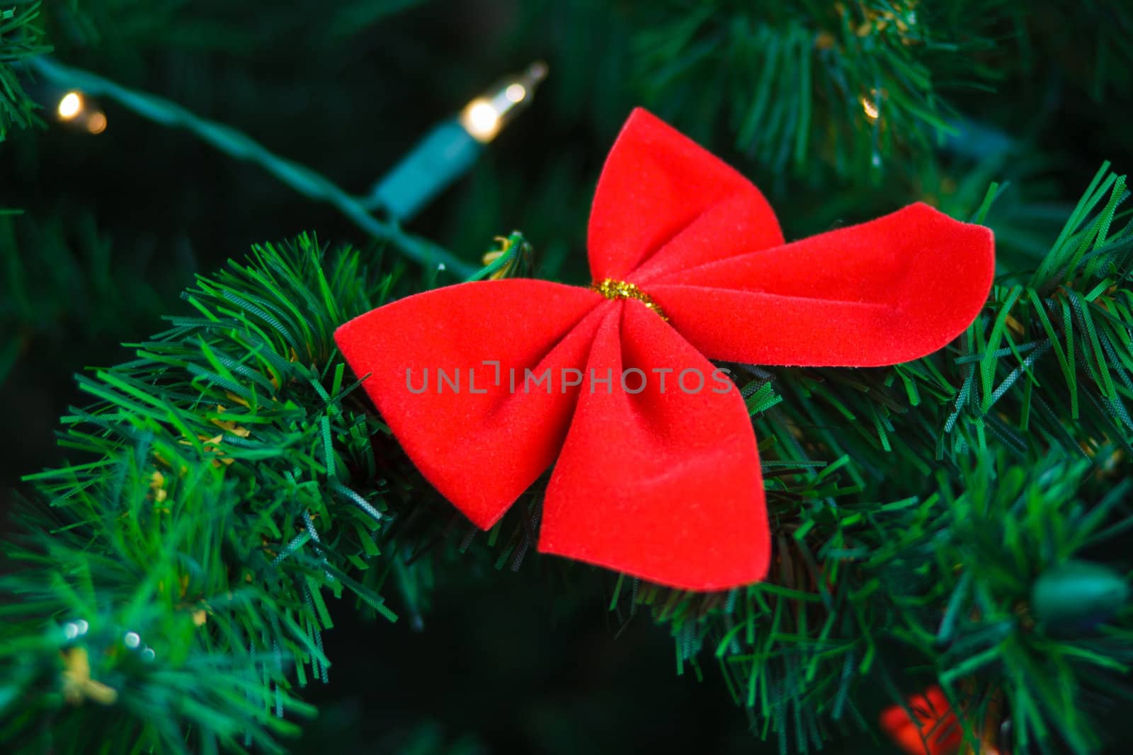 butterfly hanging on Christmas tree