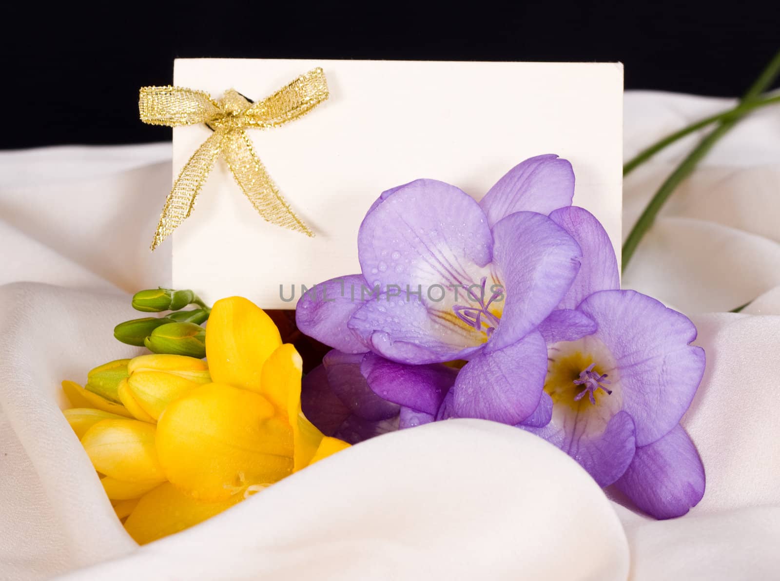 Invitation cards and flowers on delicate silk by Irina1977