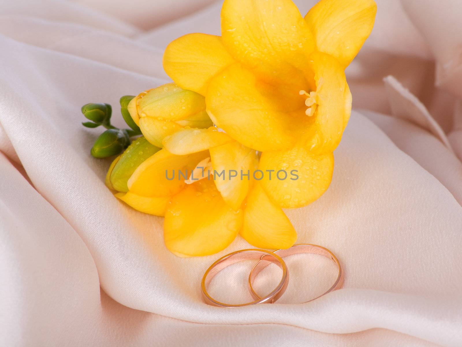 Gold wedding ring with a yellow freesia in the tender silk