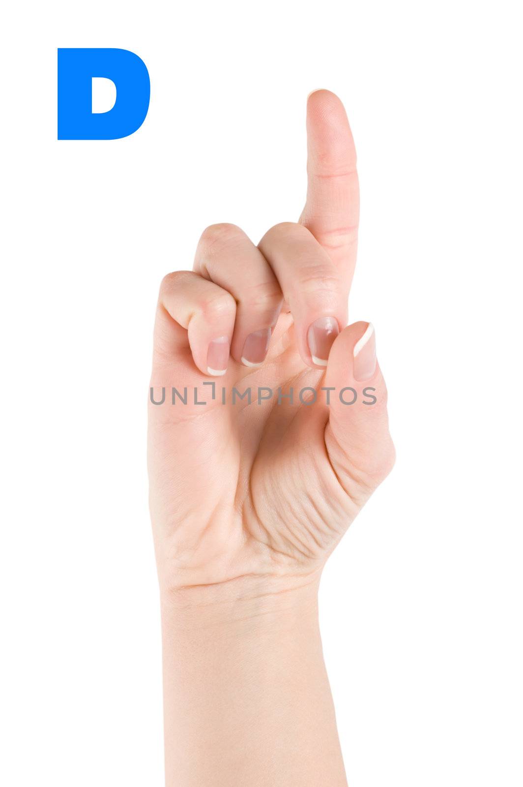 Finger Spelling the Alphabet in American Sign Language (ASL). The Letter D 
