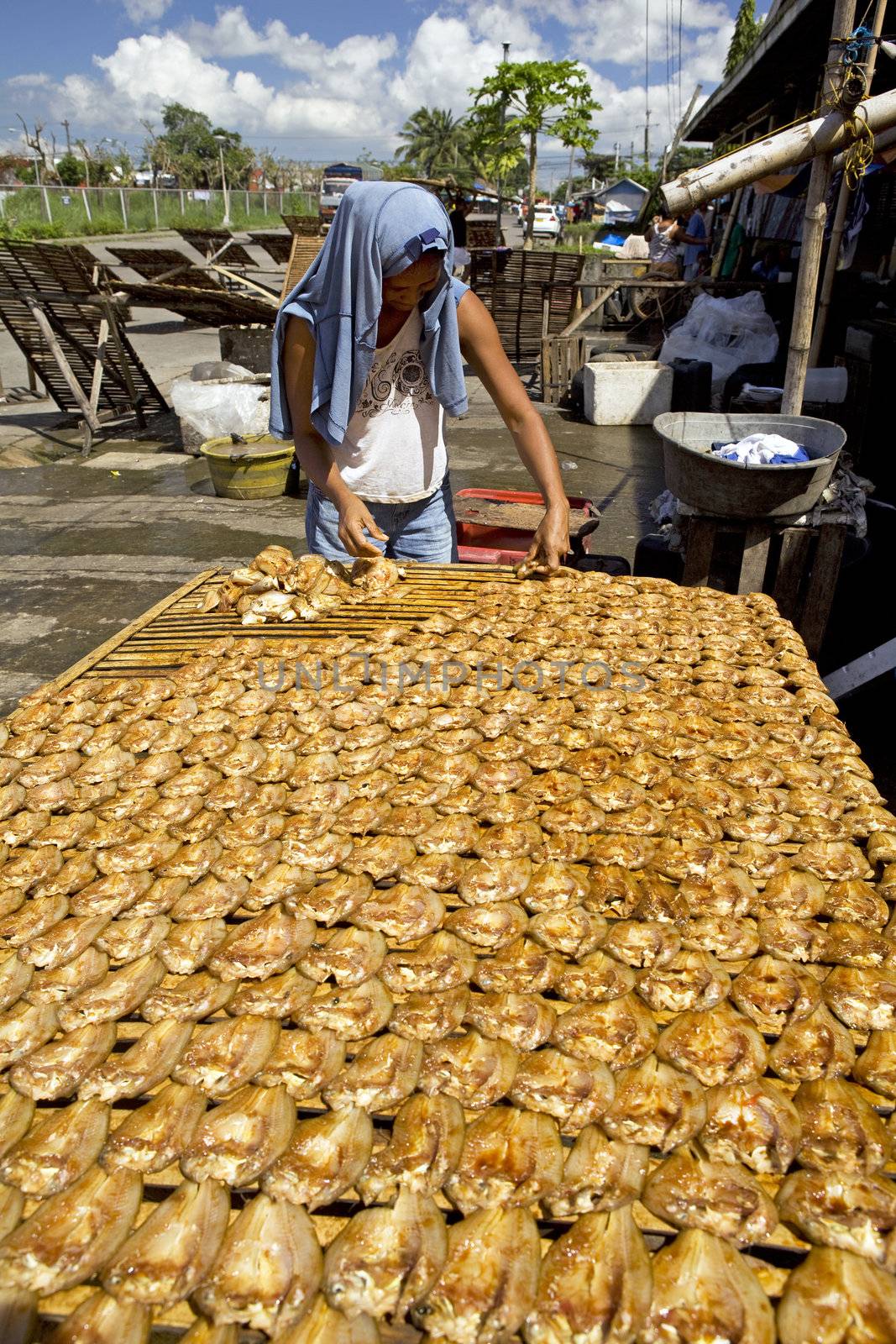 Feb. 2012 - Bacolod City, Negros Oriental Island, Philippines - A Filipino woman arranges split milkfish on bamboo racks to dry in the sun, later to be sold in the public market. Milkfish, or bangus, is a major marine food item in the local people diet nationwide.
