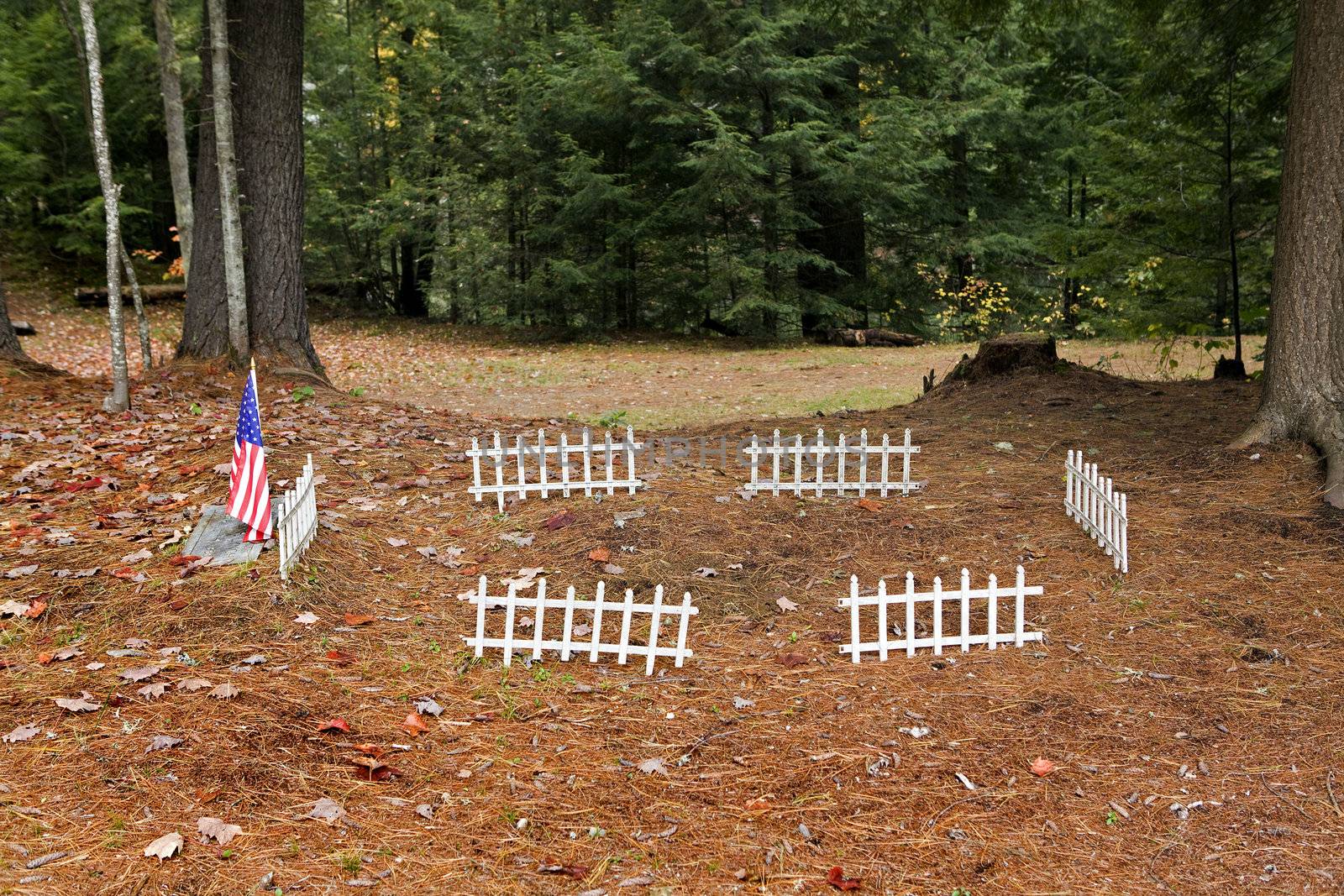 American flag and white fence surround a war veteran grave located in a wooded cemetary area with ground covered in pine needles.