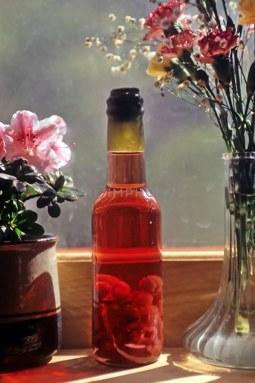 One bottle of raspberry vinegar with a wax stopper sitting on a window sill next to two containers of flowers.