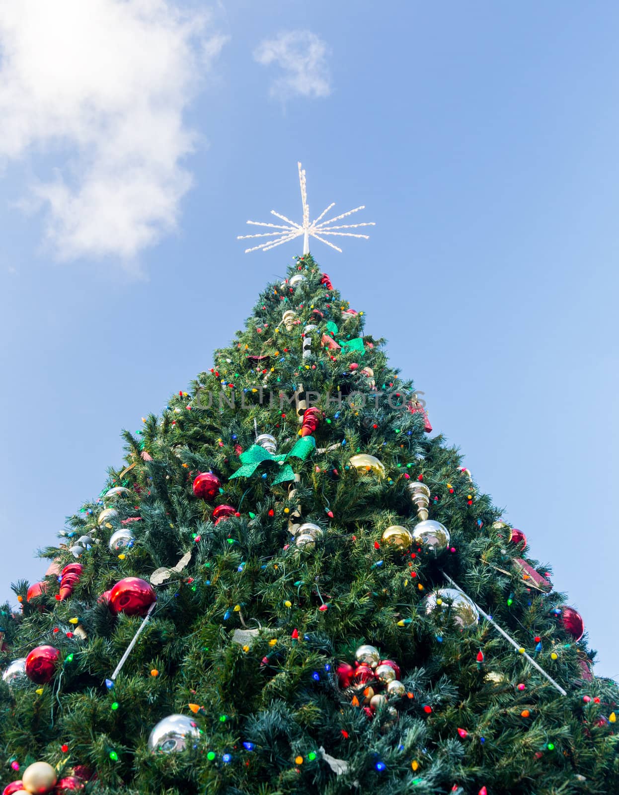 Large tall christmas tree in exterior park in Key Biscayne Florida decorated for xmas