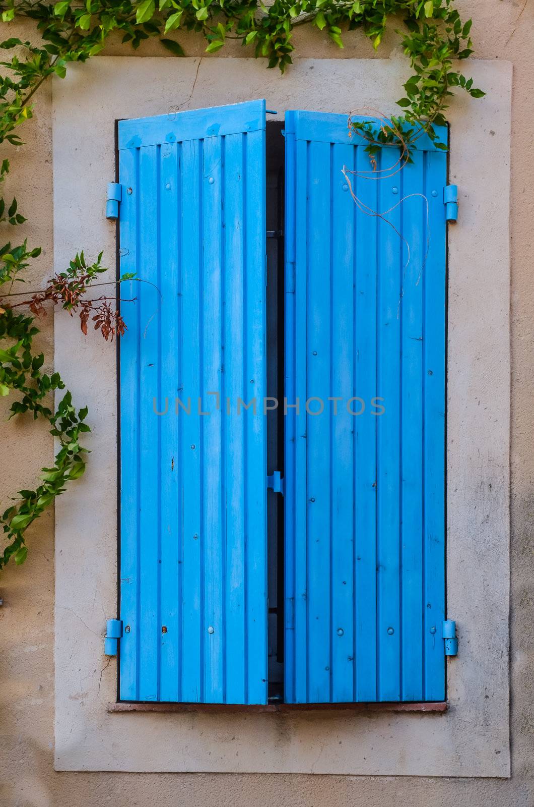 Blue closed window in the wall with green plants