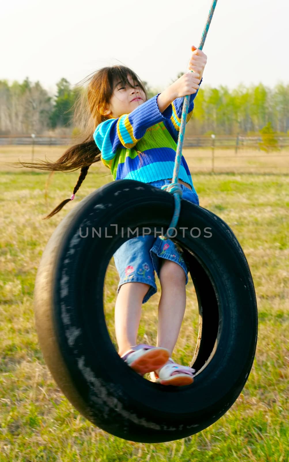 Little girl swinging on tire swing in the countryside