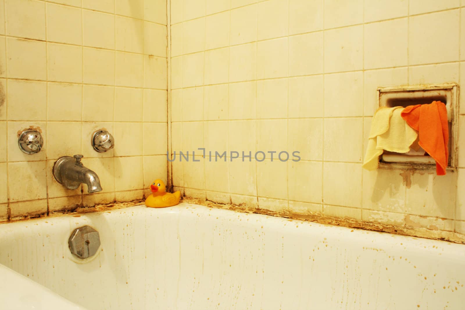 A filthy bathtub with mold and stains and dirty water. Concept for poverty or renovation/repair







A filthy bathtub with mold and stains and dirty water.