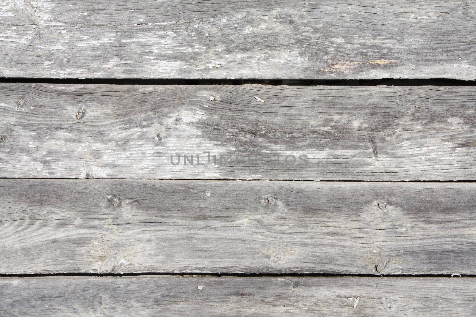 A close up image of shabby, peeling weathered old barn boards that were once painted white.