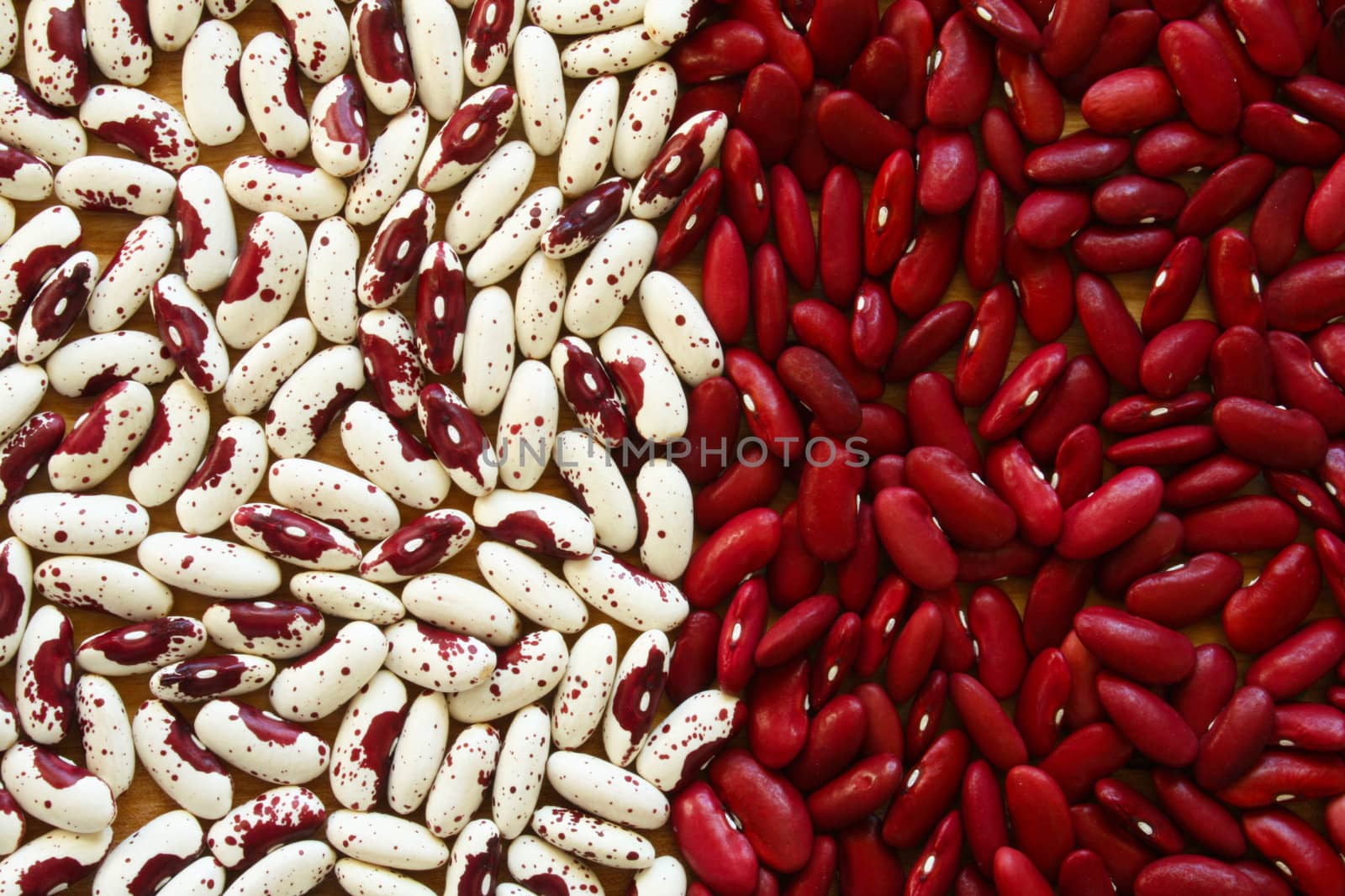 A background or wallpaper image of two types of heirloom dry soup bean:  Jacob's Cattle (also known as Trout) and Red Kidney.