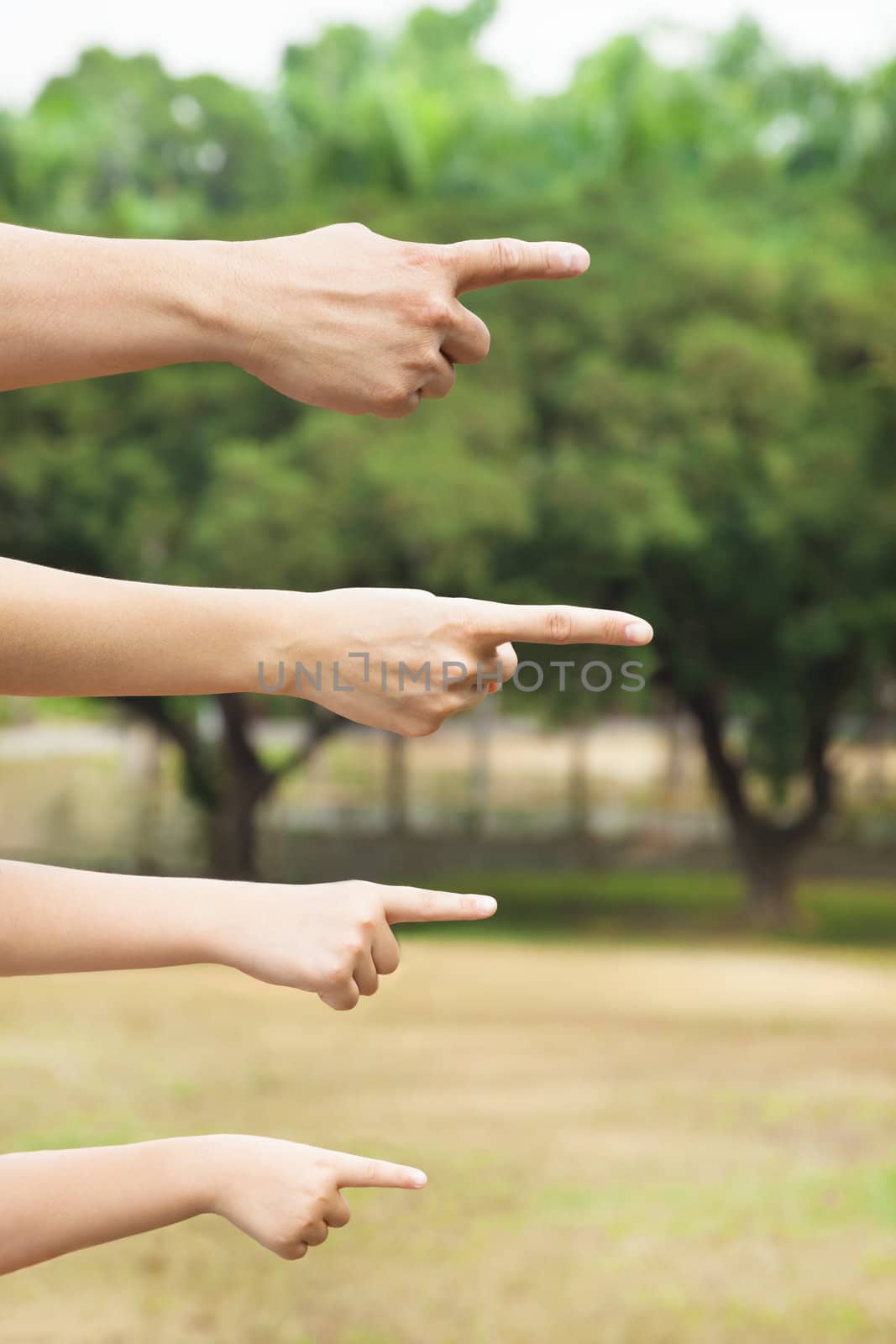 hands of family pointing to same direction by tomwang