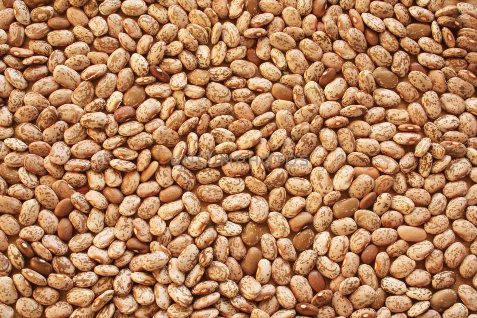 A close-up background or wallpaper image of heirloom dry Pinto beans.
