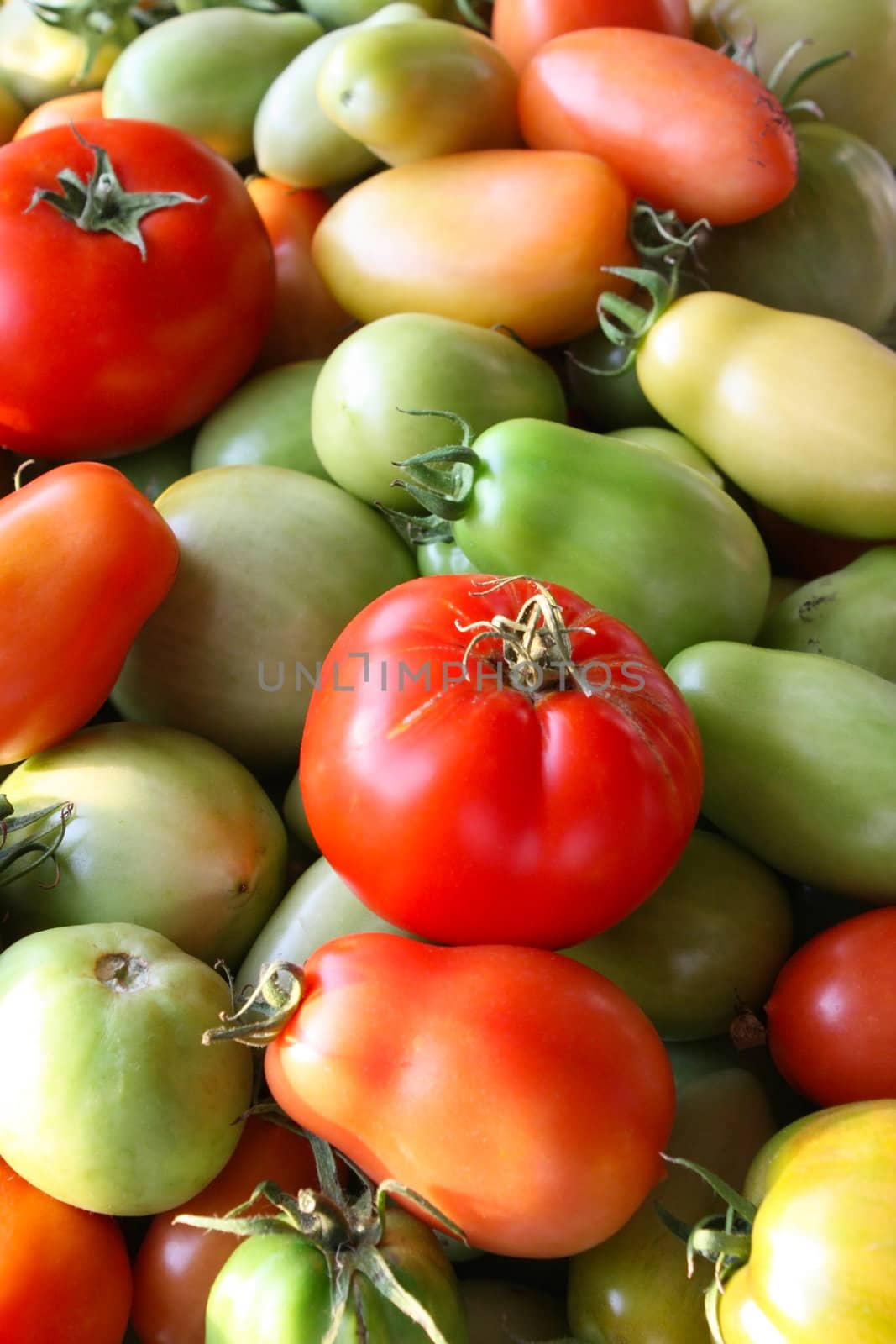 A close-up background image of a tray of organic heirloom tomatoes ripening on a windowsill.