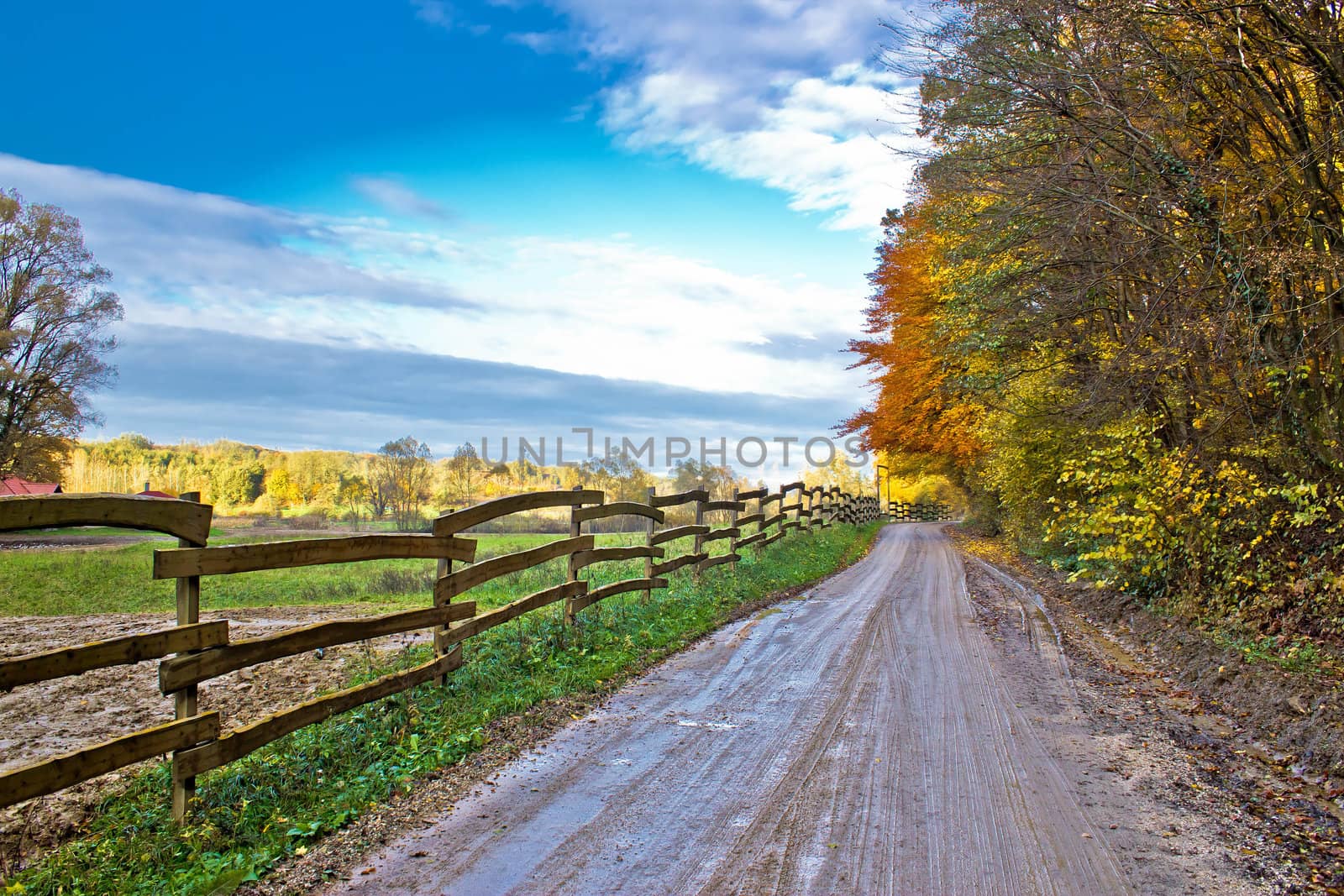 Autumn colorful mountain dirt road by xbrchx